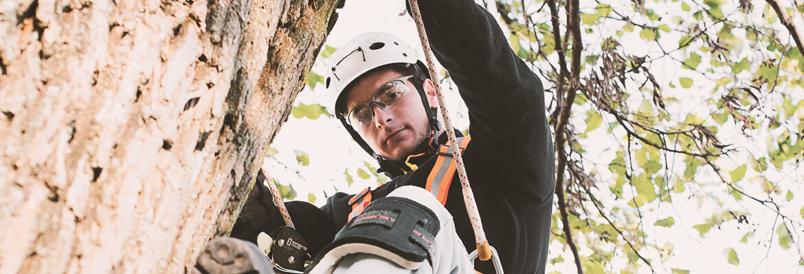 Everything for Arborist at Safety Landry